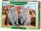 PUZZLE CASTOR 120 EL. Koty