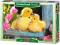 PUZZLE CASTOR 120 EL. Dwa Kaczątka