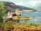 PUZZLE CASTOR 2000 EL. ZAMEK EILEAN DONAN