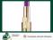 L`OREAL ROUGE CARESSE LIPSTICK POMADKA DO UST 203