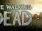 The Walking Dead - Prezent Steam / AUTOMAT