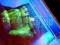 LAMPA UV SPRAWDŹ AUTENTYCZNOŚĆ BANKNOTÓW SZCZECIN