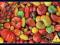 ! Puzzle 1000 Piatnik P-5369 Pomidory