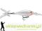 Wobler Rapala X-Rap Shad 8cm-F/14g, Kolor: GGH