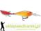 Wobler Rapala X-Rap Shad 8cm-F/14g, Kolor: HH