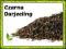 Herbata Czarna Darjeeling Second flush 50g finezja