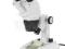 Mikroskop TPL Biolux ICD Bino 20x 40x 80x WAW