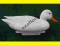 PTAKI SZTUCZNE  -  KACZKA BIAŁA  @   2540