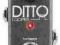 TC Electronic DITTO LOOPER NOWY