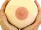 Squeeze Boob CYCEK GIGANT XXL gadżet Antystresowy