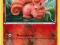 POKEMON - VULPIX - LEGENDARY TREASURES HOLO!!