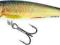 WOBLER SALMO MINNOW 6F RR WOBLER BYDGOSZCZ