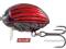 WOBLER SALMO LIL'BUG 2,5cm/2,8g - BLOODY BUG !