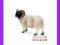 [EMARKT_PL] ANIMAL PLANET Baran czarnogłówka