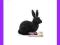 [EMARKT_PL] ANIMAL PLANET Królik czarny