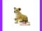[EMARKT_PL] ANIMAL PLANET Lwiątko siedzące