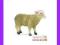 [EMARKT_PL] ANIMAL PLANET Owca
