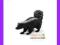 [EMARKT_PL] ANIMAL PLANET Skunks