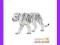 [EMARKT_PL] ANIMAL PLANET Tygrys biały