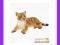 [EMARKT_PL] ANIMAL PLANET Tygrysiątko leżące