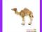 [EMARKT_PL] ANIMAL PLANET Wielbłąd arabski
