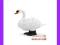 [EMARKT_PL] ANIMAL PLANET Łabędź niemy