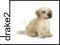 SCHLEICH GOLDEN RETRIVER SZCZENIAK 16342 [ZABAWKA]