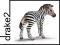 SCHLEICH ZEBRA ŹREBIĘ NEW 2009 14393 [ZABAWKA]