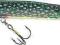 Wobler Jaxon Holo Select Pike 16cm S PL