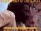 BURNING SPEAR - selection fittest 1987 _CD