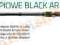 Wędka Jaxon BLACK ARROW TELE CARP 3,6m 100g