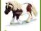 SCHLEICH KUCYK RASY SHETLAND
