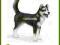 SCHLEICH PIES HUSKY