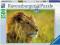 ! Puzzle 1500 Ravensburger 162994 Lew