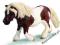 SCHLEICH KUCYK RASY SHETLAND DHL