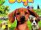 DOGZ ,WII,SKLEP,GW