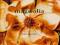 CD AIMEE MANN - Magnolia