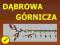 Karnisz pojedynczy GAŁĄZKA śr. 25 dł. 160 mosiądz