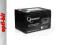 Gembird akumulator uniwersalny 12V/12AH