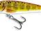 WOBLER SALMO MINNOW 7F OTR WOBLER BYDGOSZCZ
