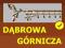 Karnisz podwójny GAŁĄZKA 25 / 240 antyczny mosiądz