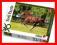 Puzzle 1000 Galop  TREFL Wyprz! Kurier48-7zł