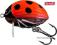 WOBLER SALMO LIL'BUG 3F 3cm 4,3g LB