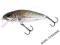 WOBLER SALMO PERCH 8F 8cm 12g HGS