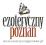 sprzedam portal internetowy  Ezoteryczny Poznań