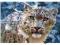 PUZZLE 1500 ELEMENTÓW UKŁADANKA OBRAZ C-150823