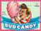 Advanced Nutrients Bud Candy sample 100 ml.