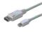 ASSMANN Kabel DisplayPort 1.1a mini DP-DP M/M 2.0m