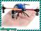 QUADROCOPTER ZDALNIE STEROWANY LADYBUG 2.4GHz 4CH.