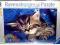 Ravensburger puzzle 500 Kotek w Jeansach - kociak